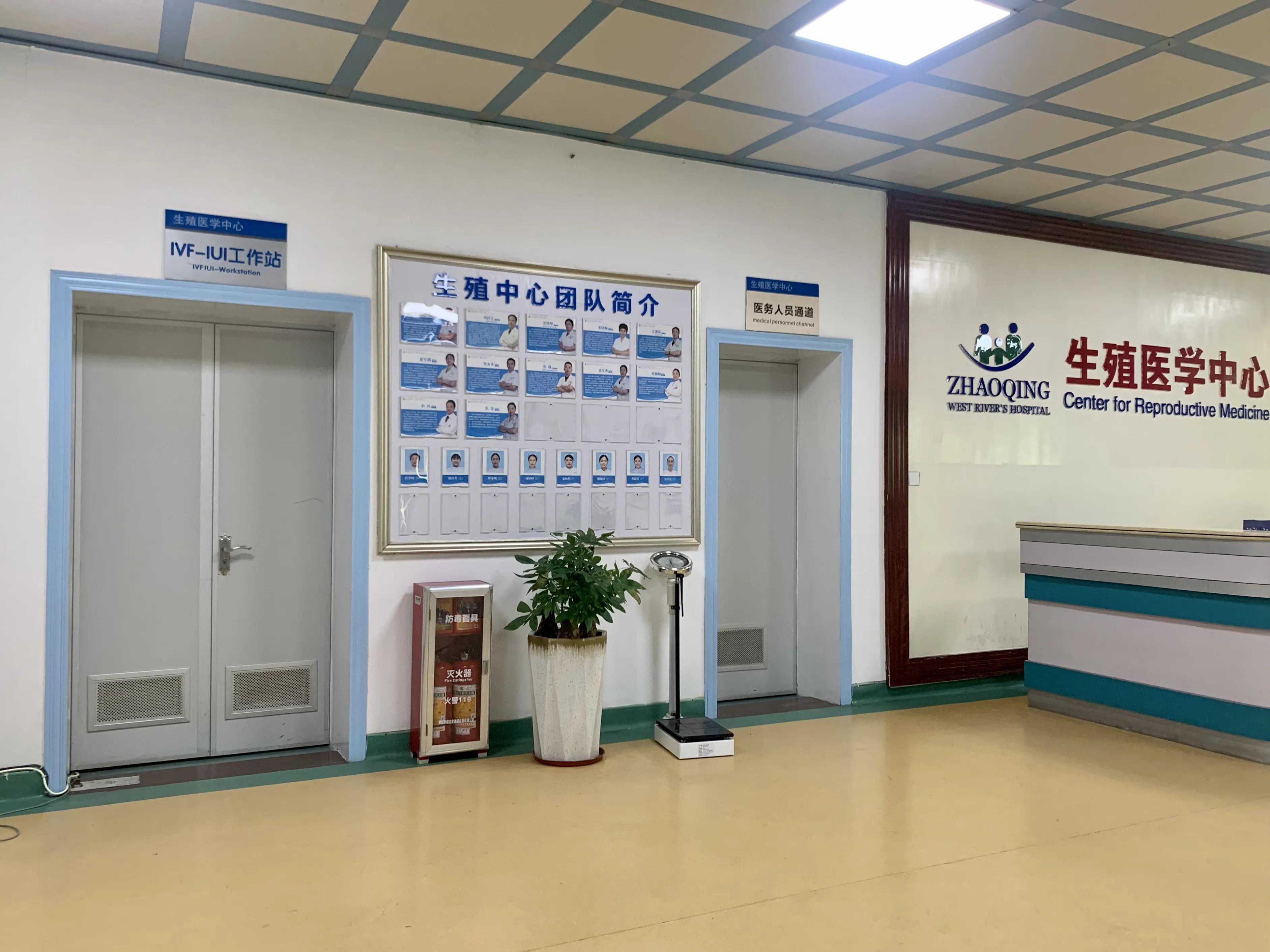 记录试管之路第4篇