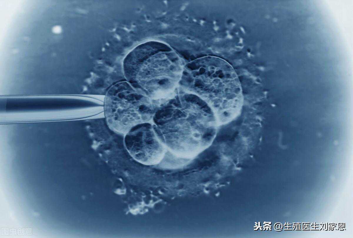 试管婴儿反复移植不成功？生殖专家一语道破真相
