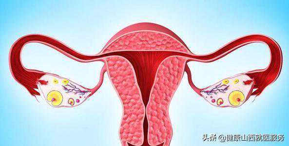 「你问我答」试管婴儿取卵篇，那些生孩子付出的努力