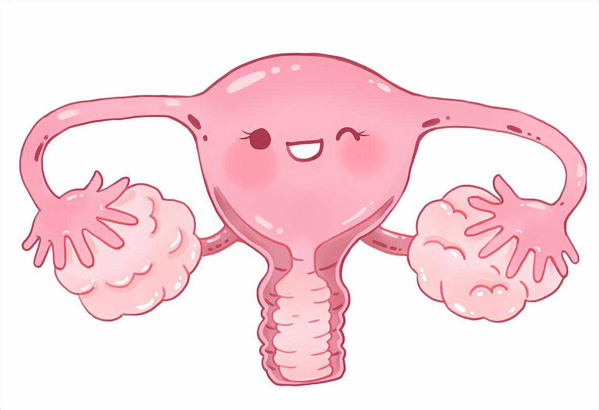 一颗卵子的一段旅程，为你揭秘“试管婴儿”的全过程