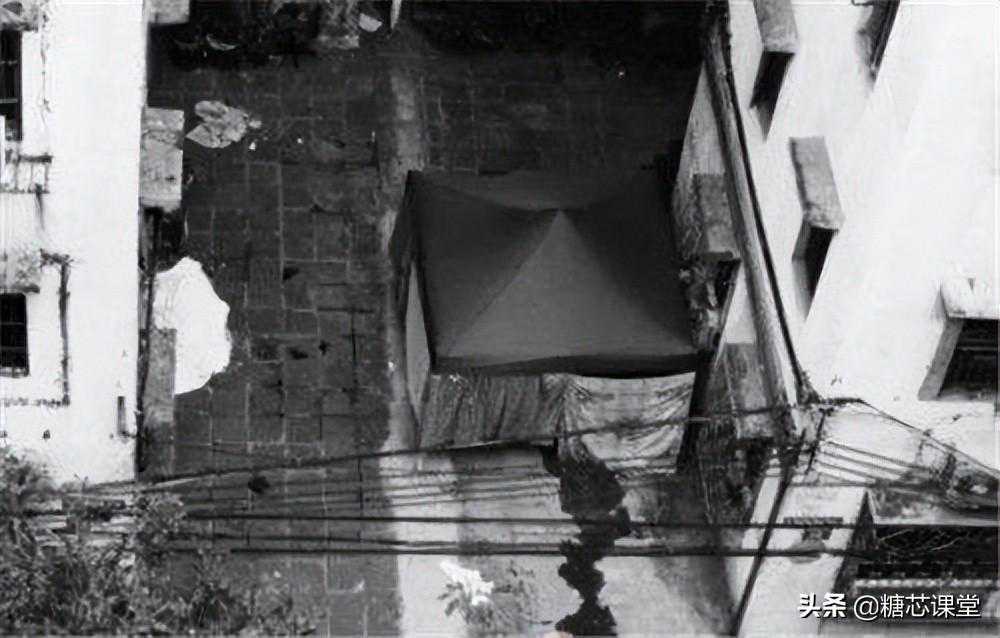 2002年广东五旬夫妻通过试管生下龙凤胎，十年后无力抚养双双跳楼