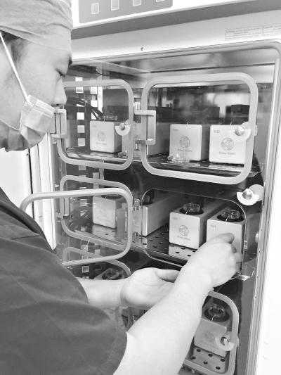 800照片持续监测胚胎发育 武汉女子成功孕育试管宝宝