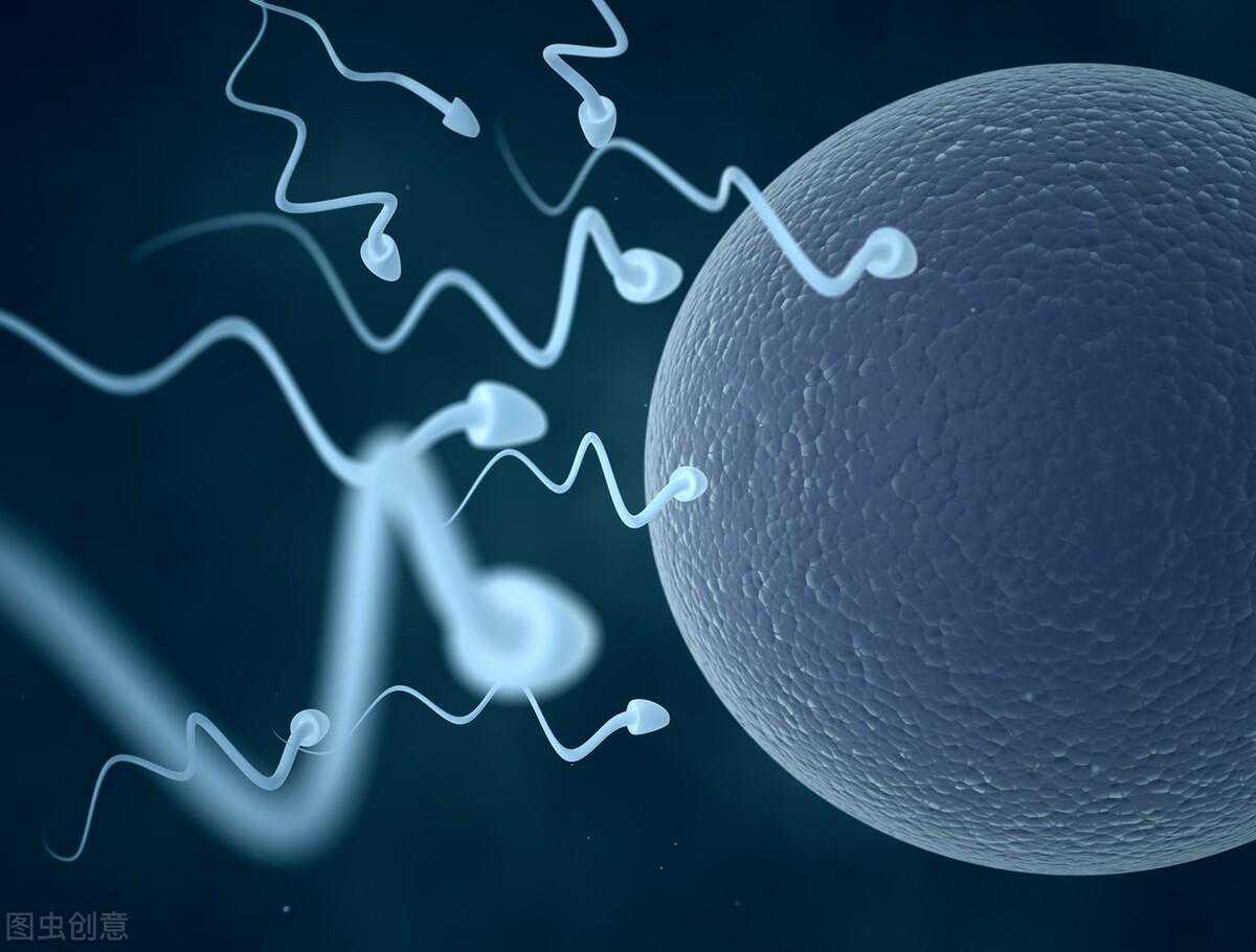 「专业科普」多次流产，为什么医生建议我做三代试管婴儿？