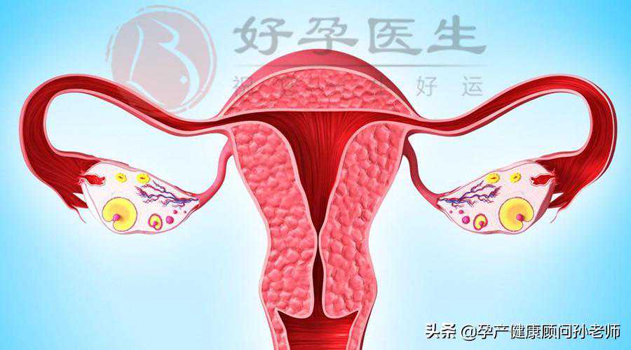 备孕女性应该怎样呵护好卵巢？