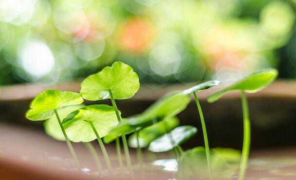 剖腹产后备孕，需要做好哪些准备？