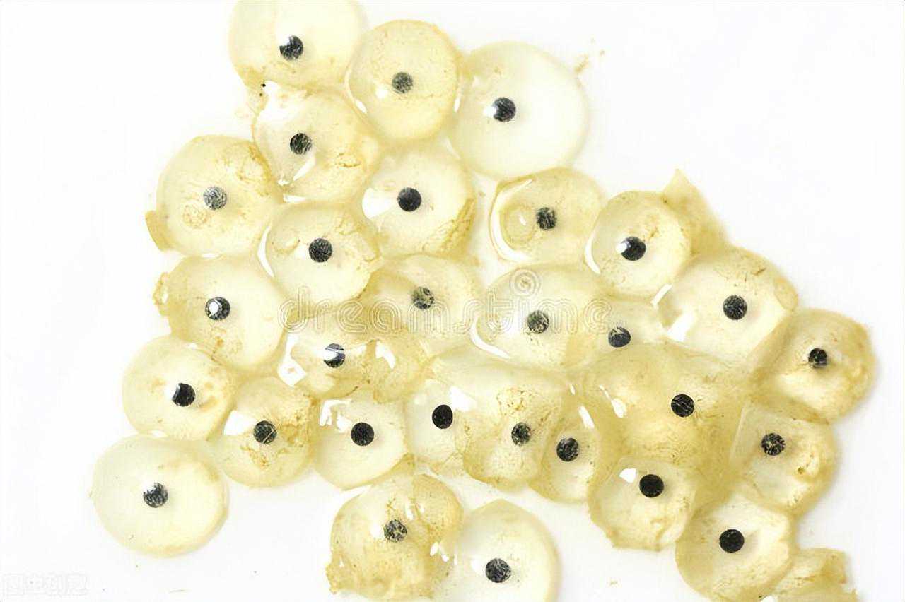 备孕一个月就怀上了？这3个备孕技巧，帮你快速怀孕