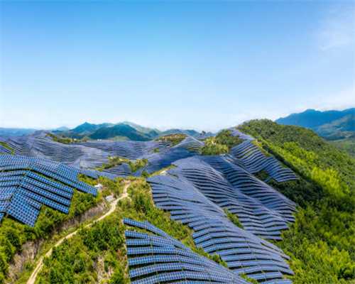 移植后的10点建议