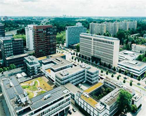 成熟的卵泡一般多大