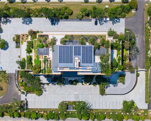 消失的卵子：取卵15个，为什么最后只配成4个胚胎？