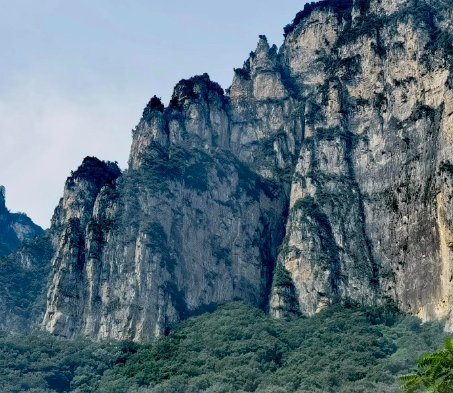 试管婴儿能解决染色体异常吗？