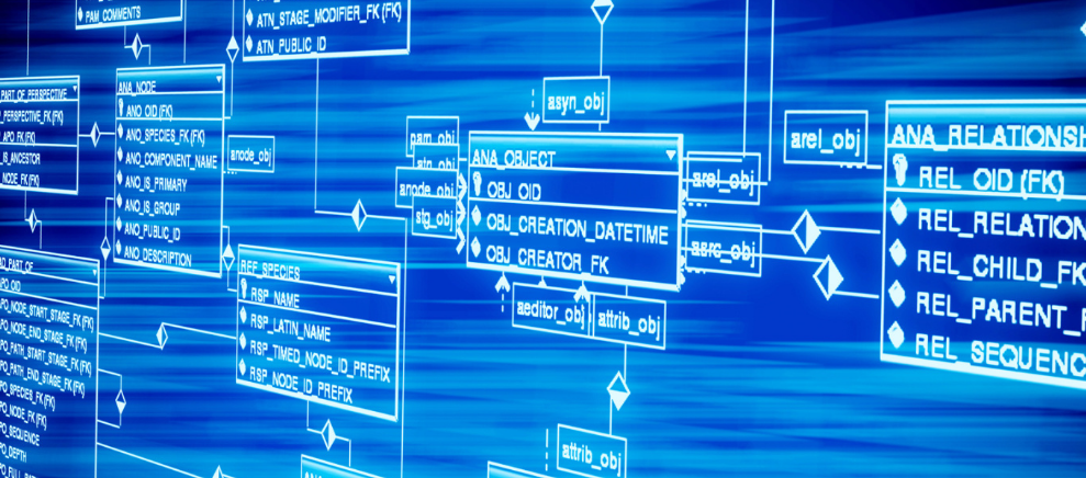 输卵管不通做试管婴儿可以吗